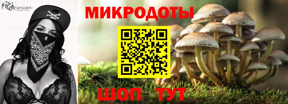 Галлюциногенные грибы ЛСД Аргун
